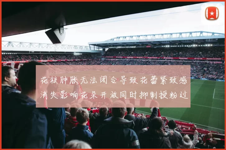 花核肿胀无法闭合导致花蕾紧致感消失影响花朵开放同时抑制授粉过程