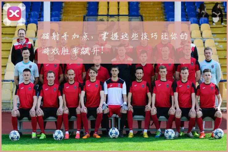 猫射手加点，掌握这些技巧让你的游戏胜率飙升！