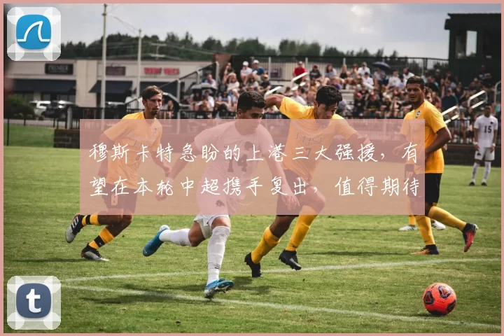 穆斯卡特急盼的上港三大强援，有望在本轮中超携手复出，值得期待