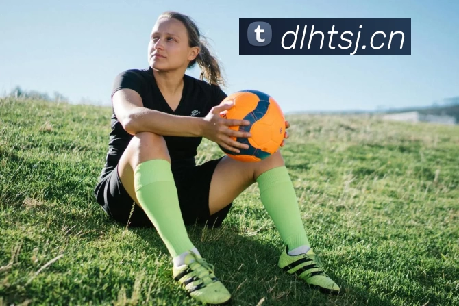 乐鱼首页平台生态图